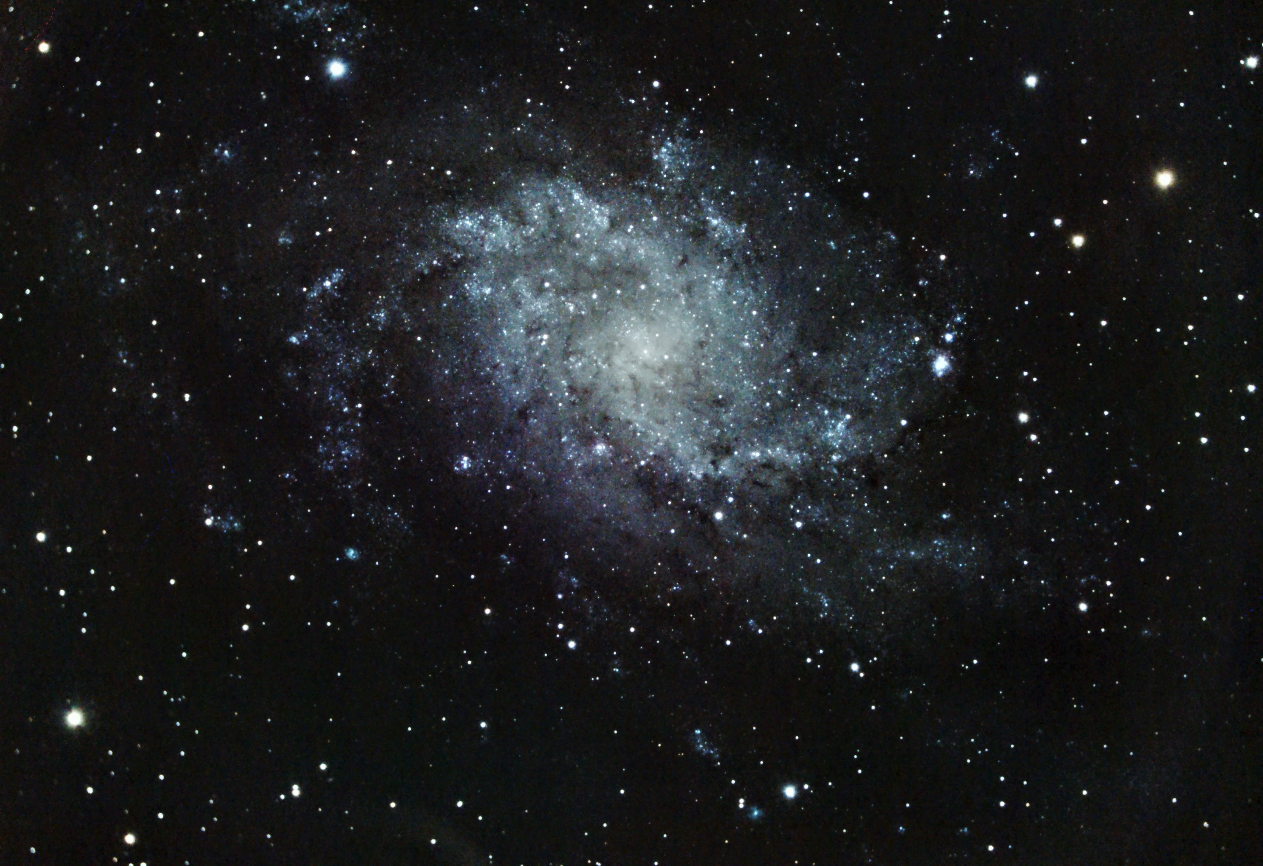 M33