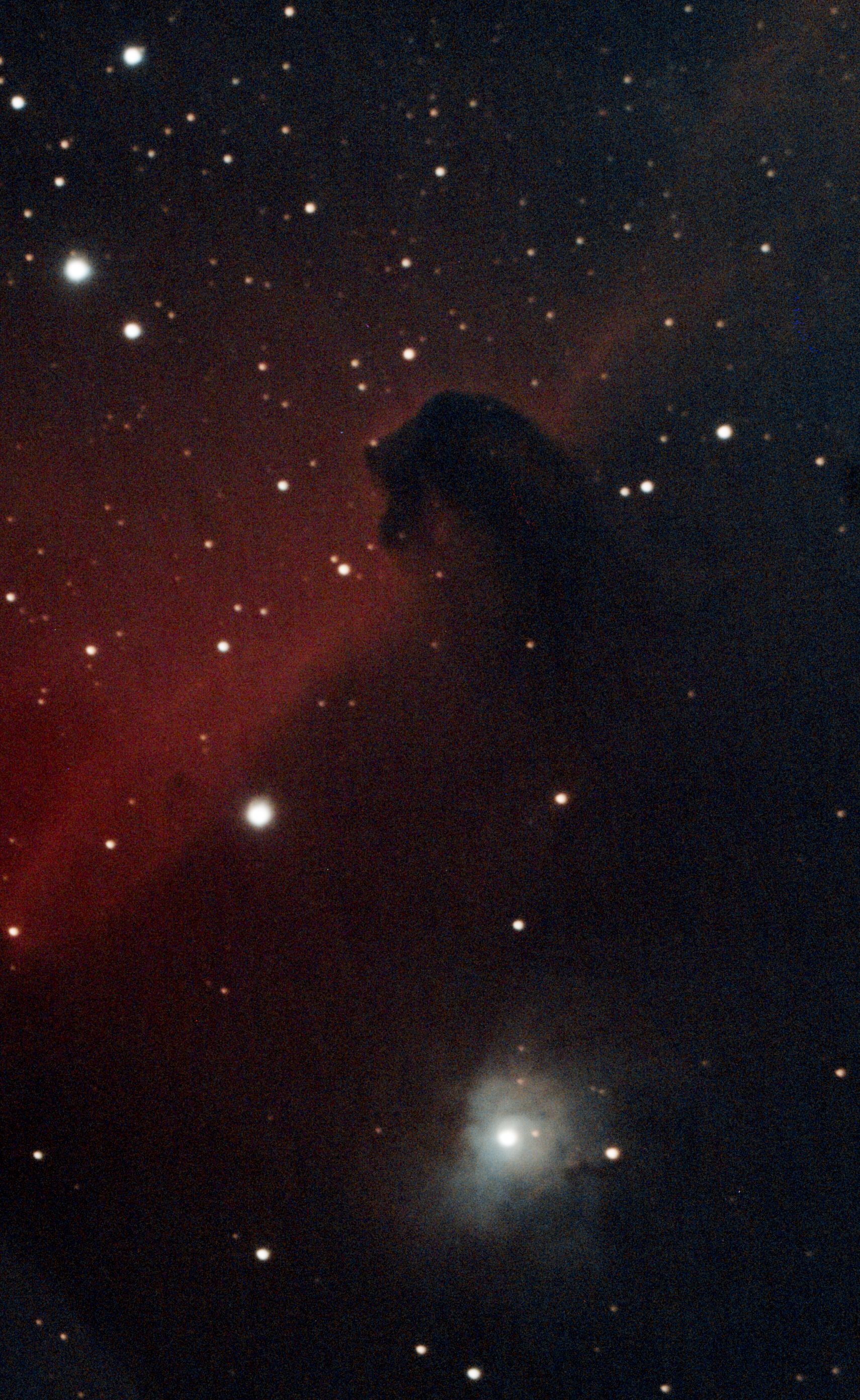 Nebulosa Cabeza de Caballo
